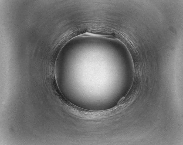 X0000116590044200912101548