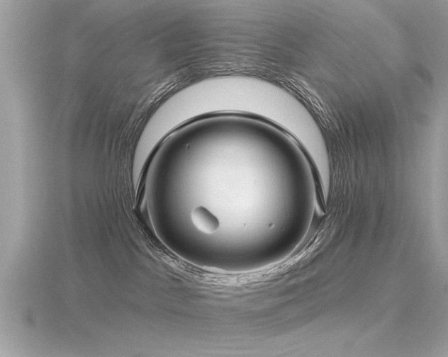 X0000116590045200912101548