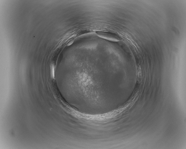 X0000116590046200912101548