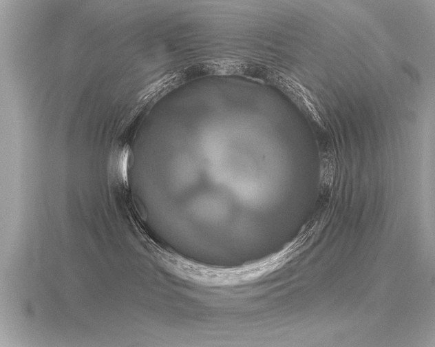 X0000116590047200912101548