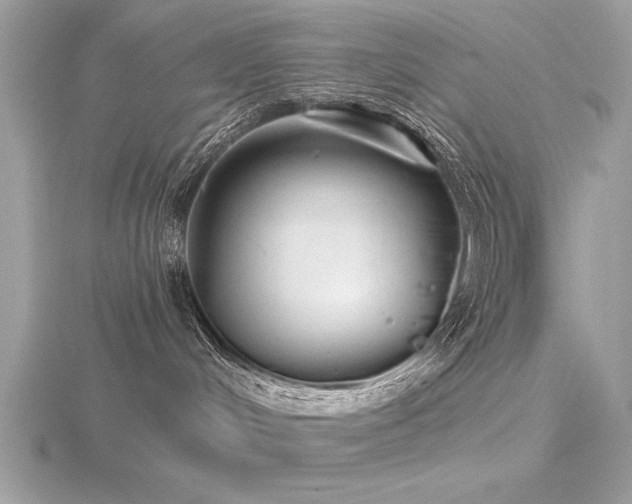 X0000116590048200912101548