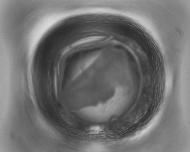 X0000116590050200912101548