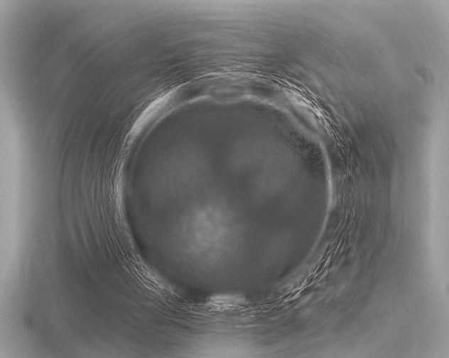 X0000116590051200912101548