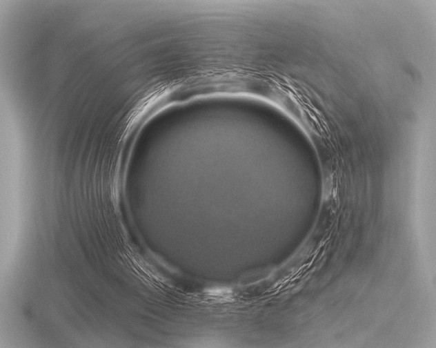 X0000116590052200912101548