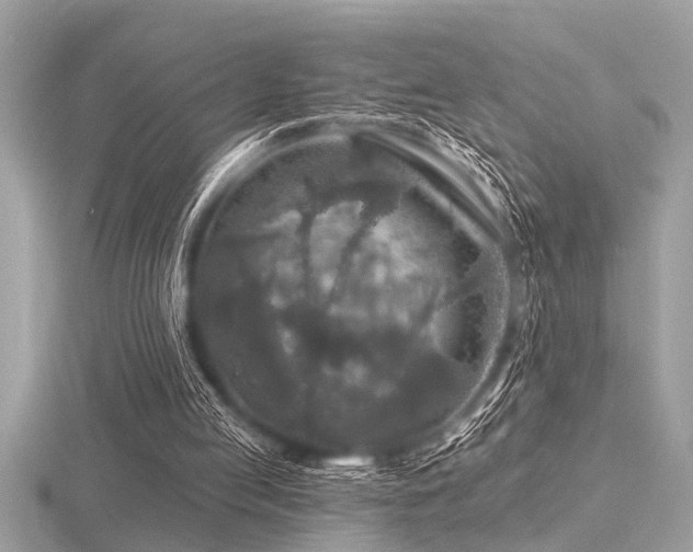 X0000116590053200912101548