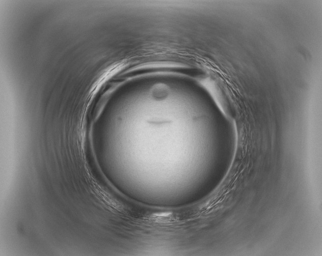 X0000116590054200912101548