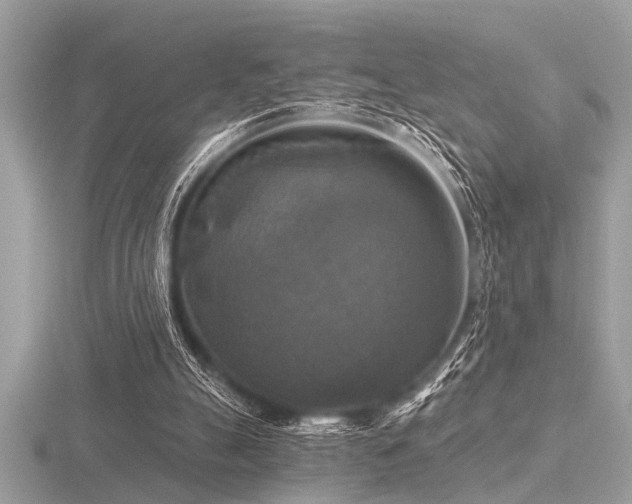 X0000116590055200912101548