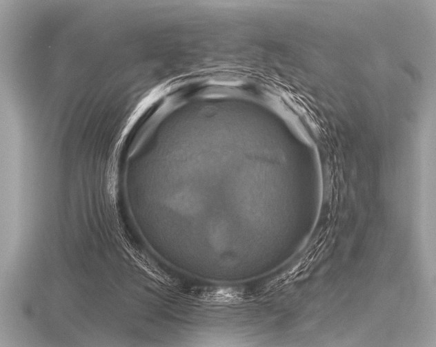 X0000116590056200912101548