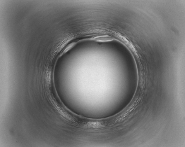 X0000116590057200912101548