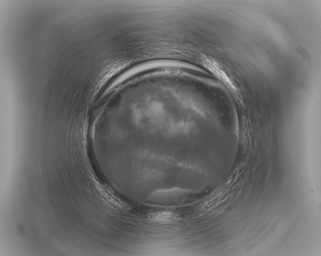 X0000116590058200912101548