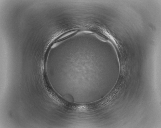 X0000116590059200912101548