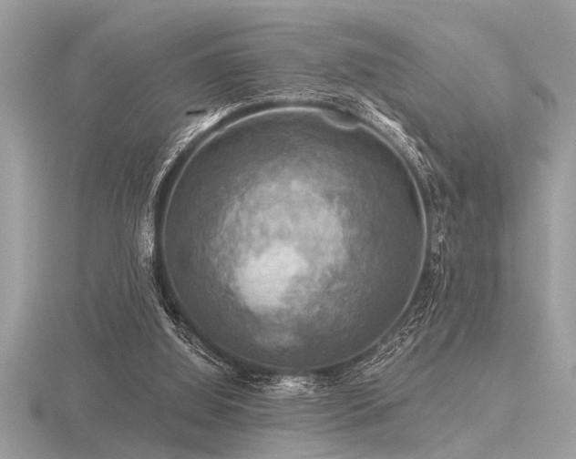 X0000116590060200912101548