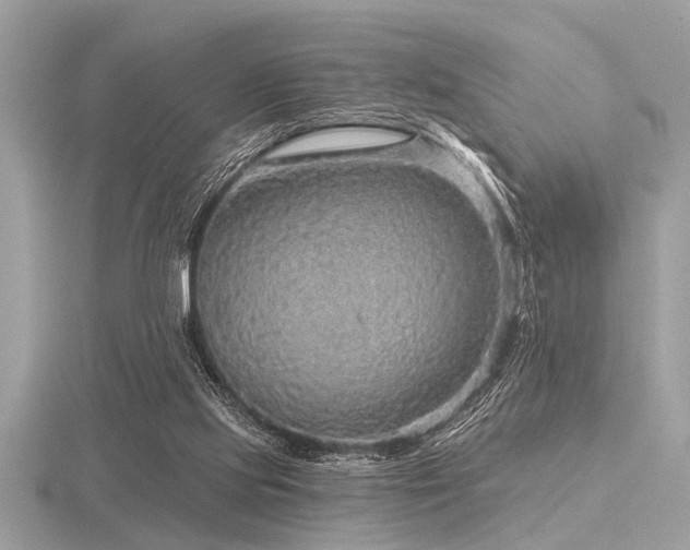 X0000116590061200912101548