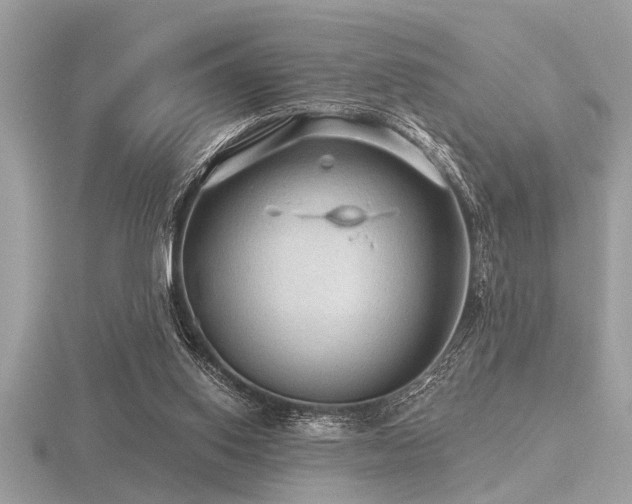 X0000116590062200912101548