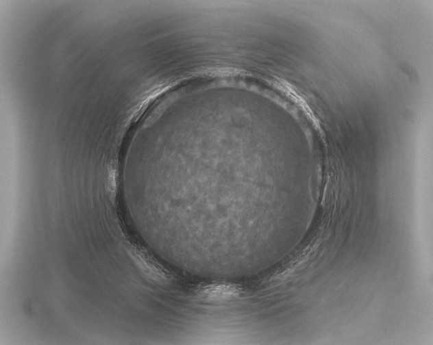 X0000116590063200912101548