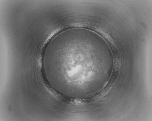 X0000116590064200912101548