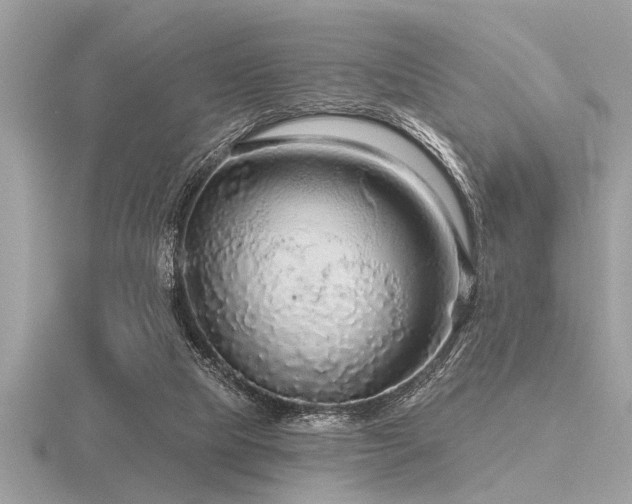 X0000116590065200912101548