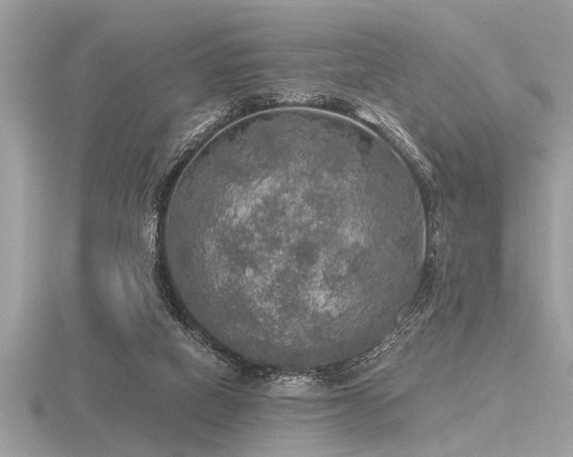 X0000116590066200912101548