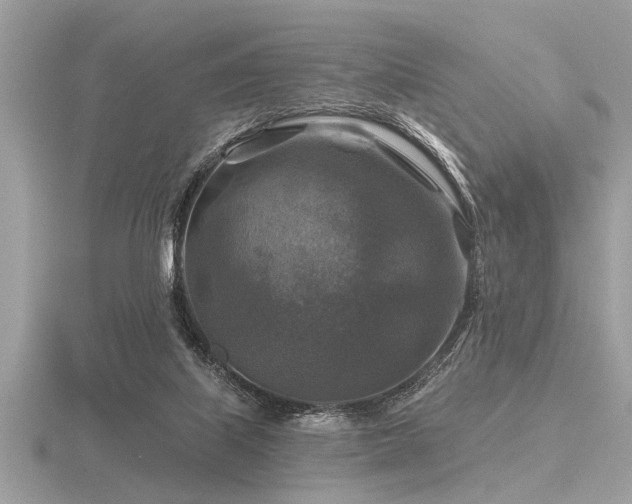 X0000116590067200912101548