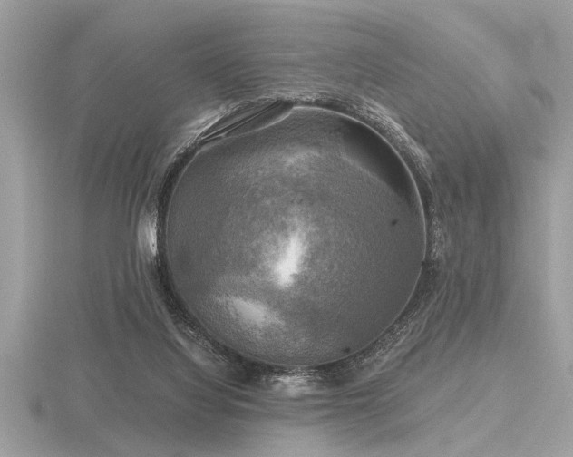 X0000116590068200912101548