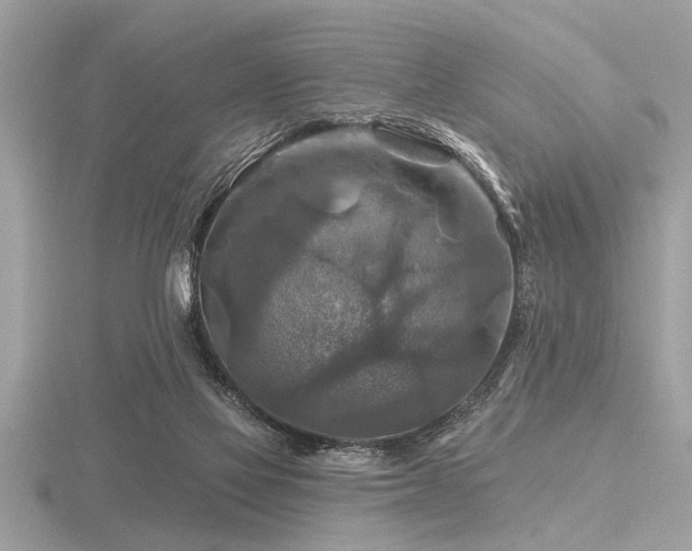 X0000116590069200912101548