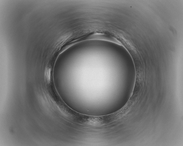 X0000116590070200912101548