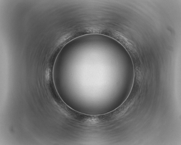 X0000116590071200912101548