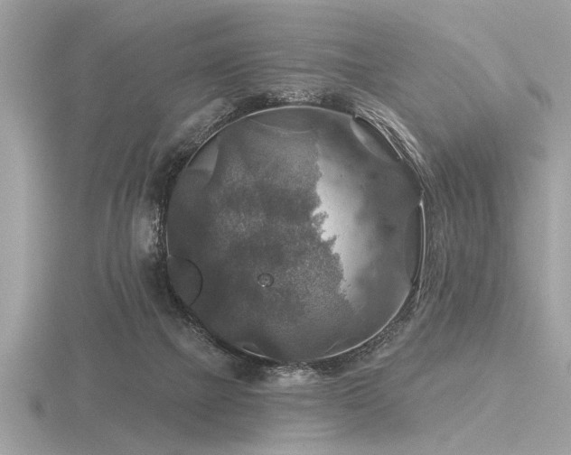 X0000116590073200912101548