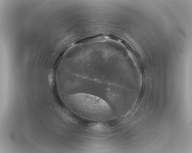 X0000116590074200912101548