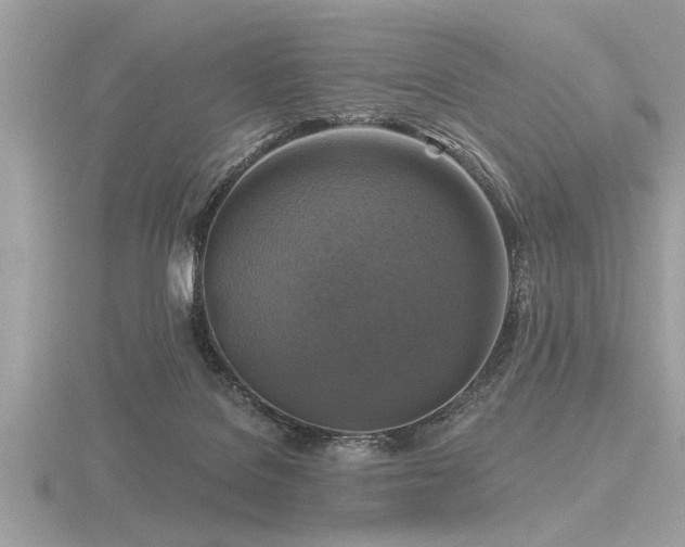 X0000116590076200912101548