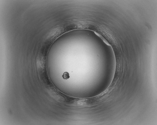 X0000116590078200912101548