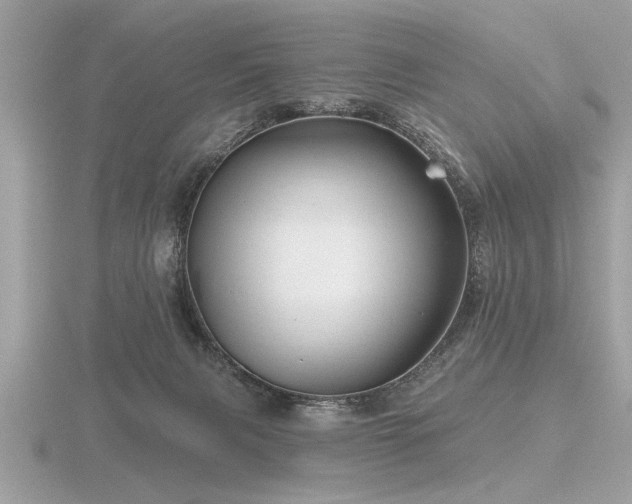 X0000116590079200912101548