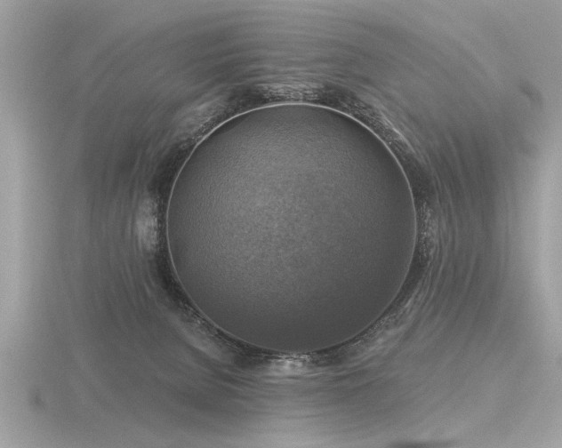 X0000116590080200912101548