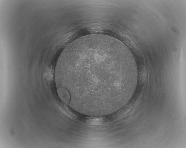 X0000116590081200912101548