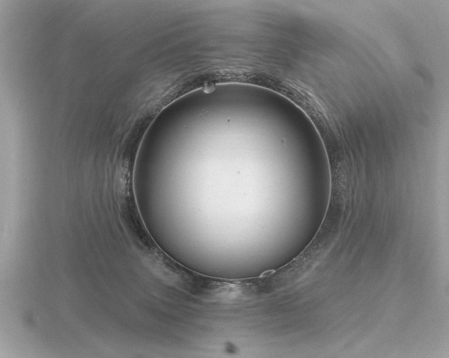 X0000116590083200912101548