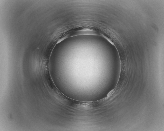 X0000116590086200912101548