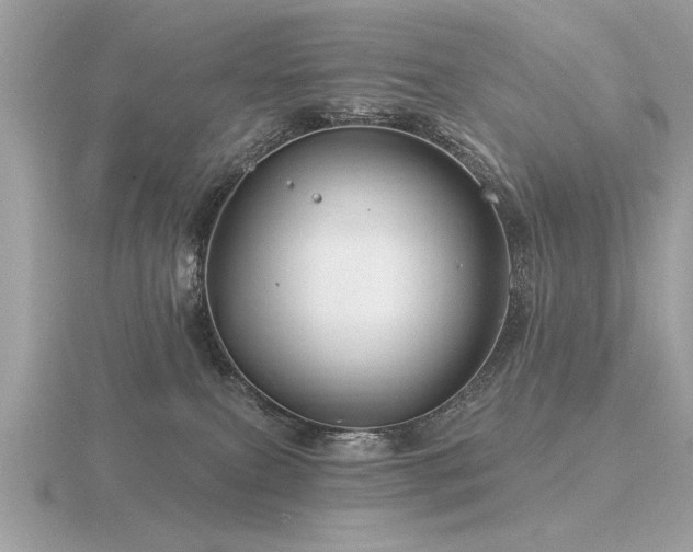 X0000116590087200912101548