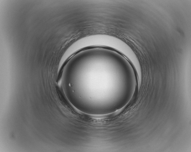 X0000116590088200912101548