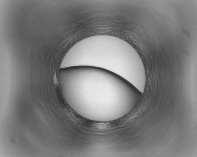 X0000116590089200912101548