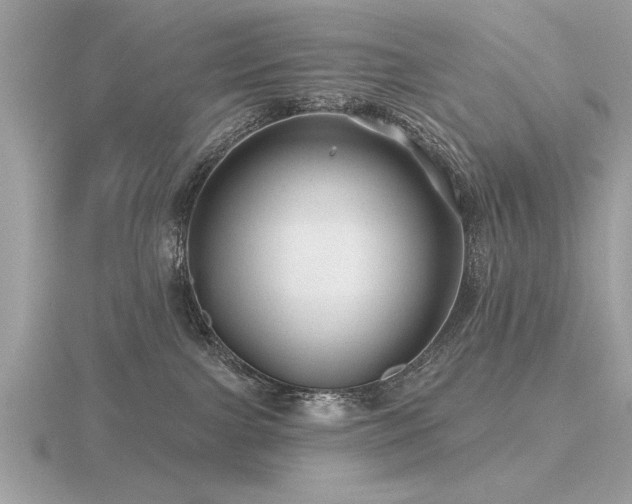 X0000116590091200912101548