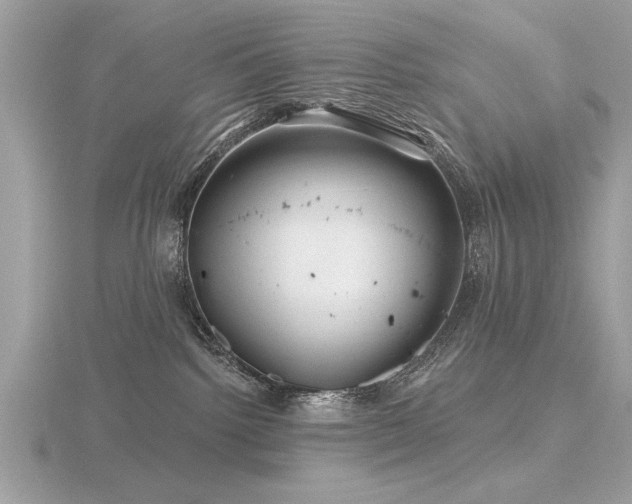 X0000116590092200912101548