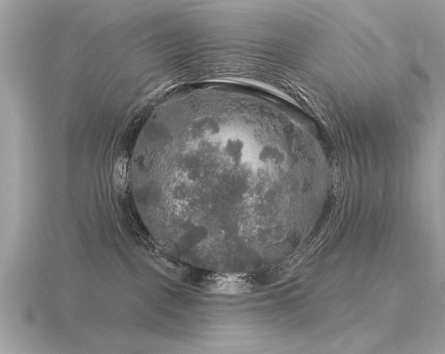 X0000116590093200912101548