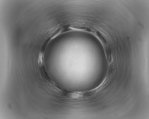 X0000116590094200912101548