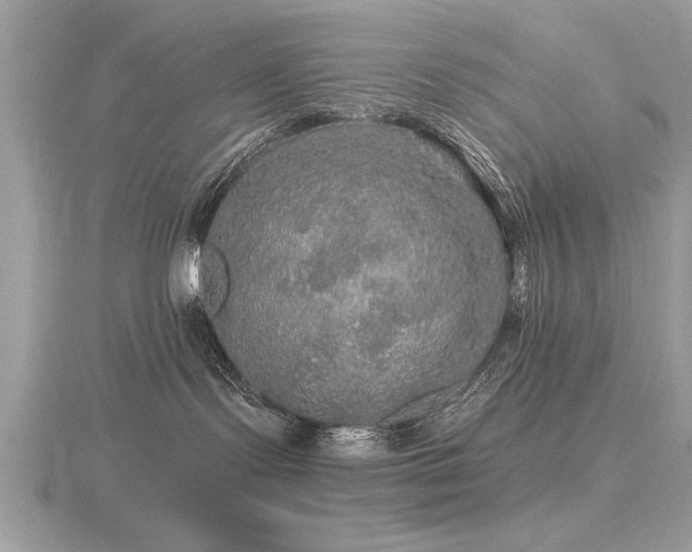 X0000116590095200912101548