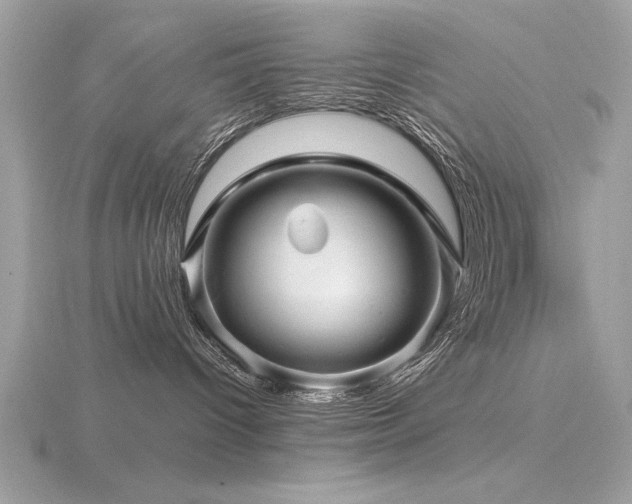 X0000116590096200912101548