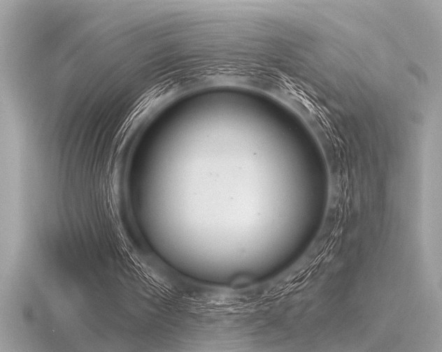 X0000116590098200912101548