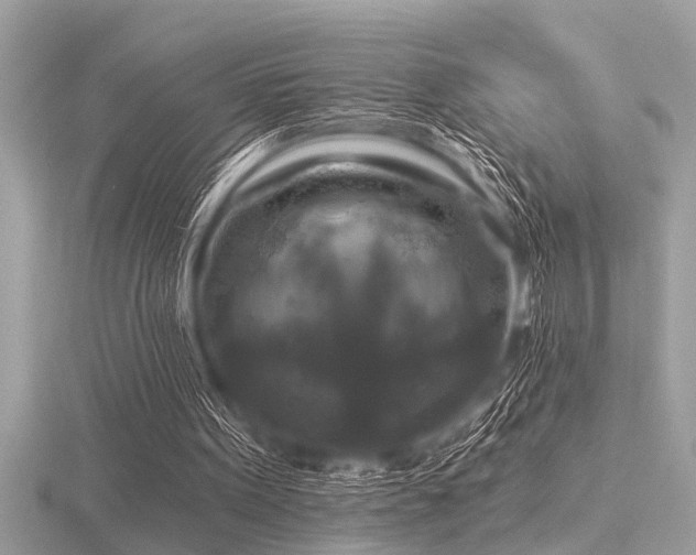 X0000116590099200912101548