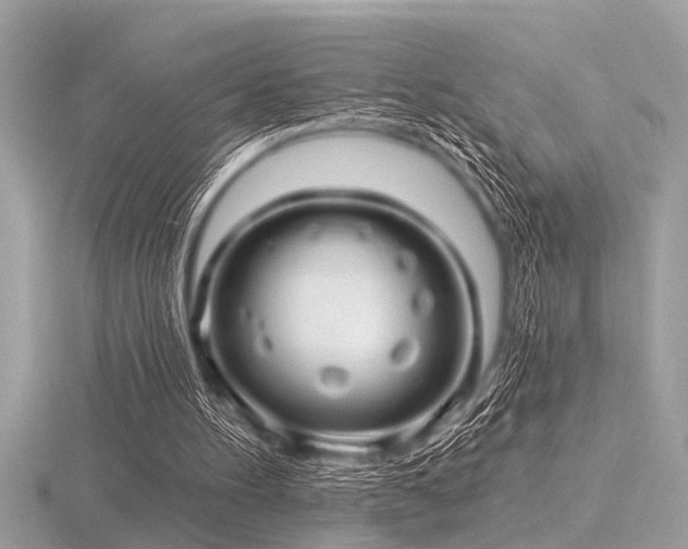 X0000116590100200912101548