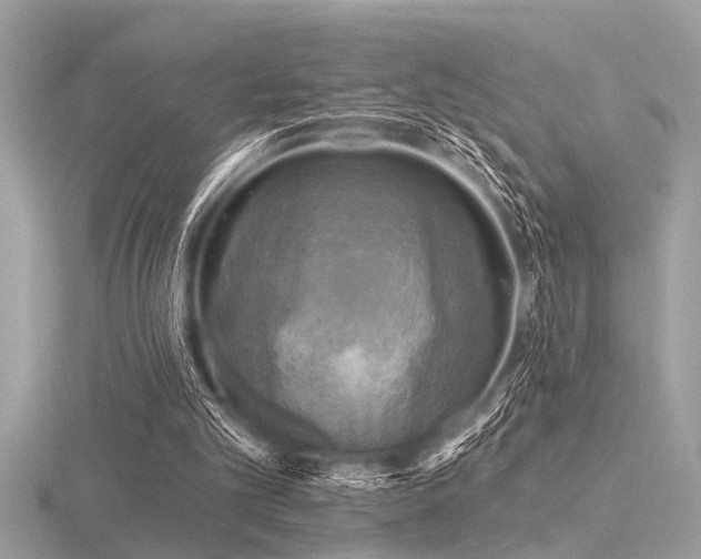 X0000116590101200912101548