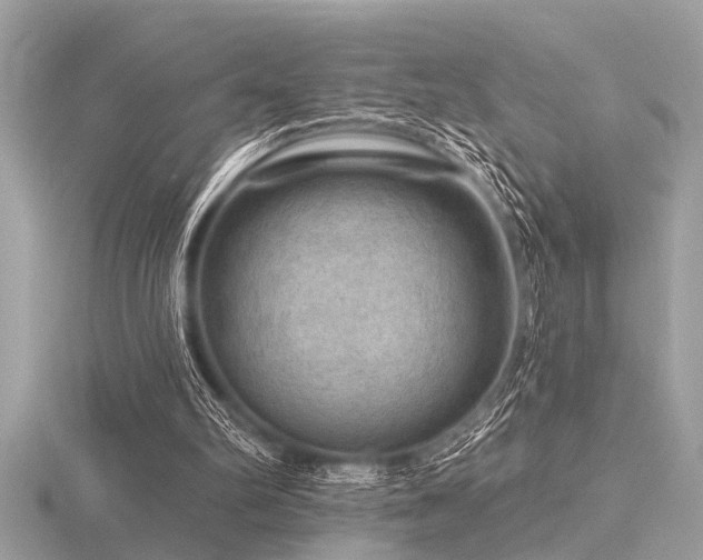 X0000116590102200912101548